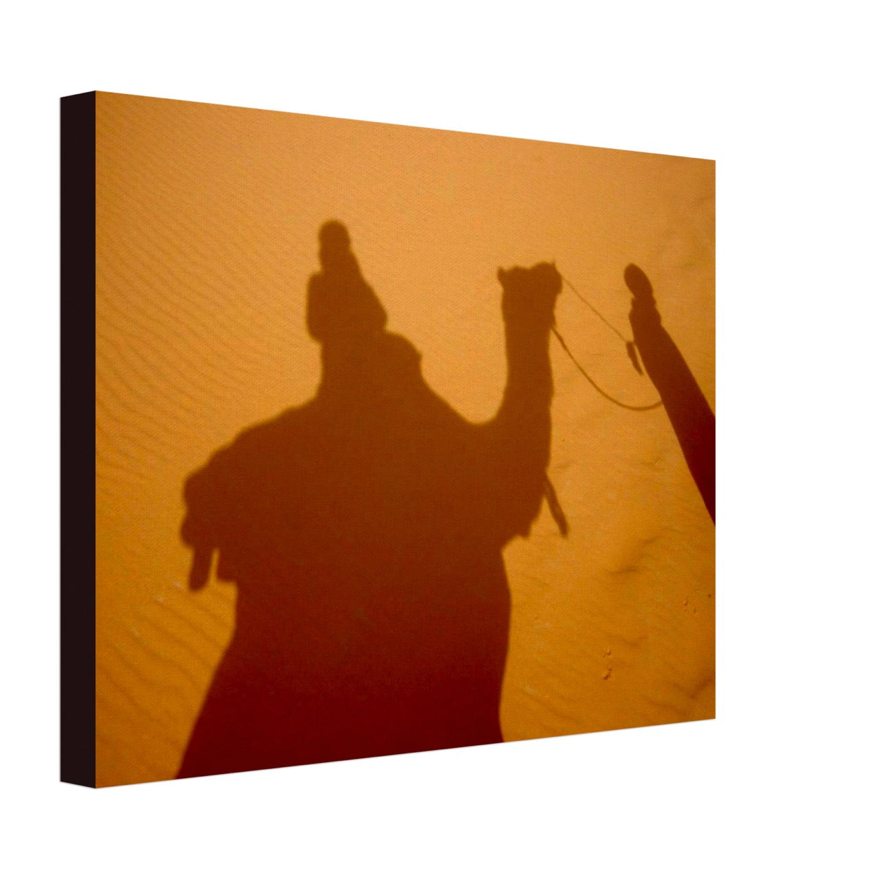 Steps, Shadows, Sand, Songs and Sun | Whispers of a Sahara Past OG