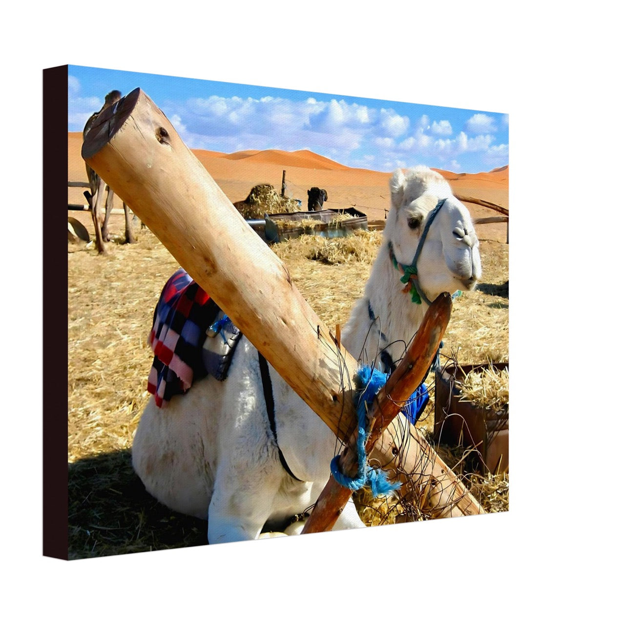 Awaiting the Journey | Whispers of a Sahara Past OG
