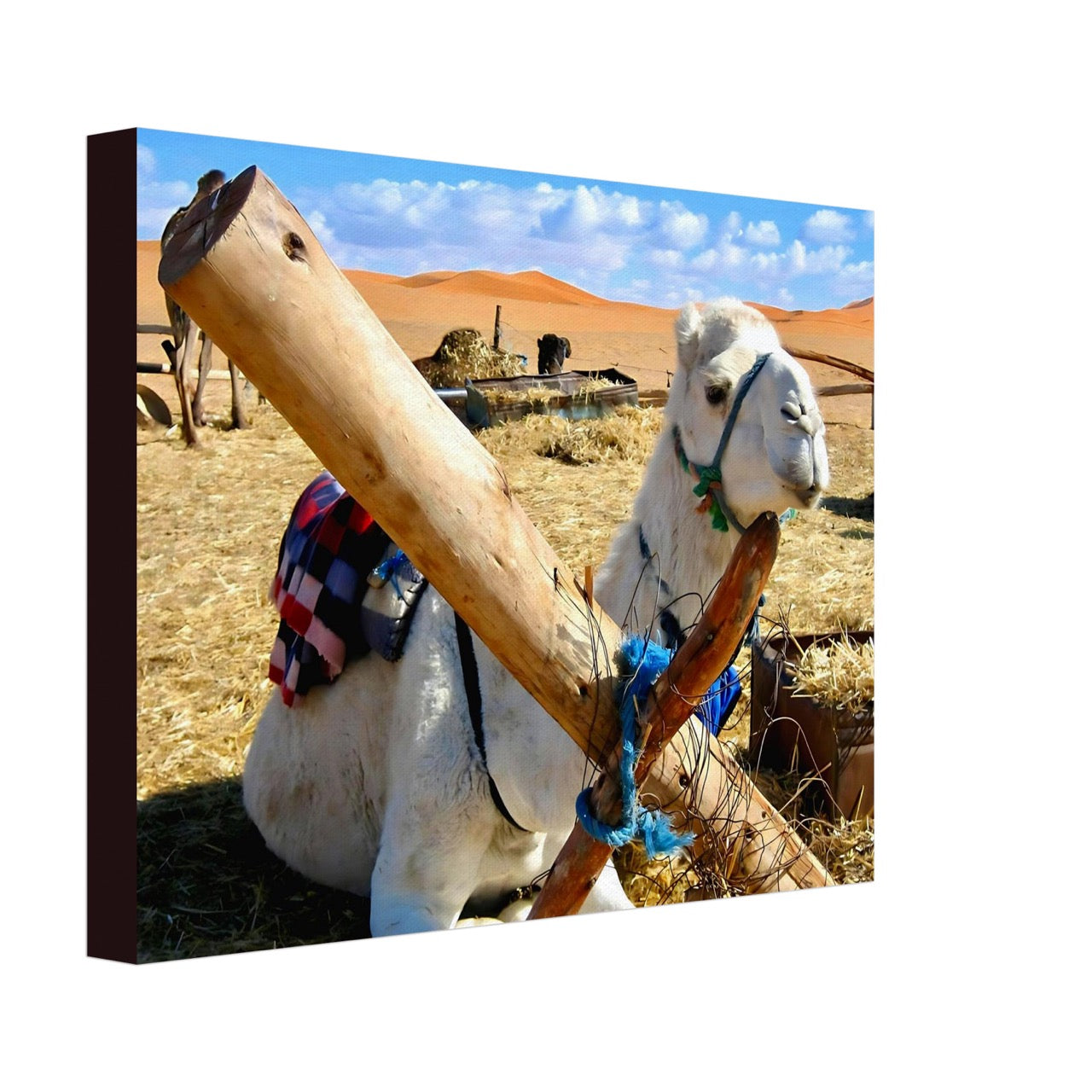 Awaiting the Journey | Whispers of a Sahara Past OG