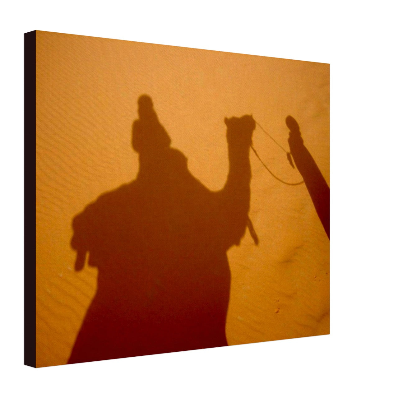 Steps, Shadows, Sand, Songs and Sun | Whispers of a Sahara Past OG