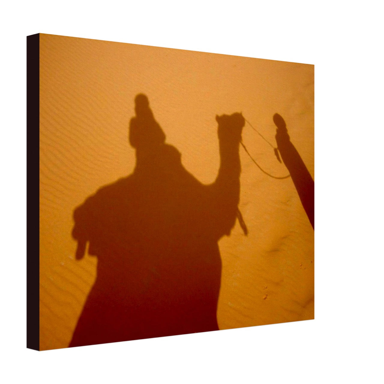 Steps, Shadows, Sand, Songs and Sun | Whispers of a Sahara Past OG