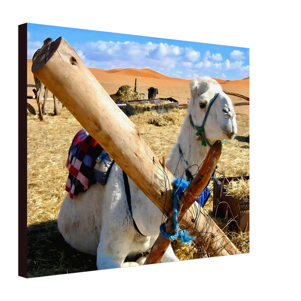 Awaiting the Journey | Whispers of a Sahara Past OG