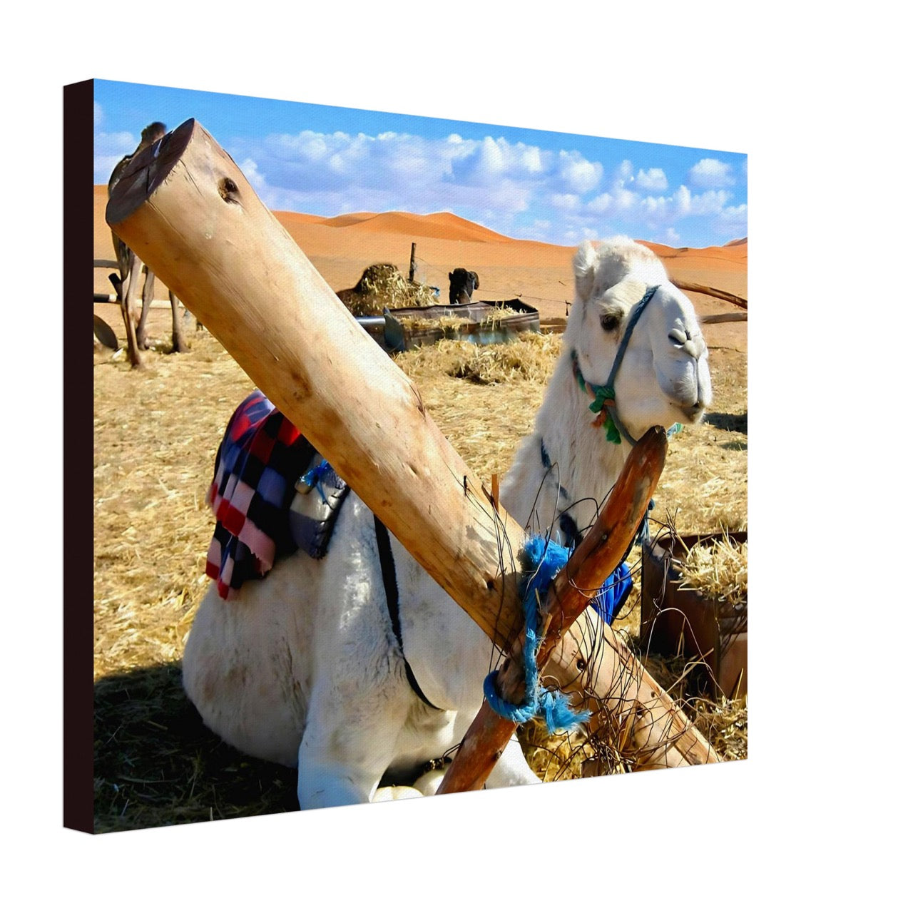 Awaiting the Journey | Whispers of a Sahara Past OG