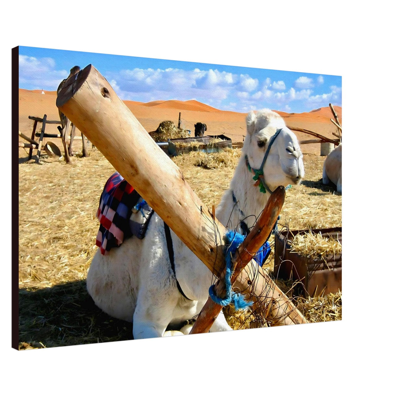 Awaiting the Journey | Whispers of a Sahara Past OG
