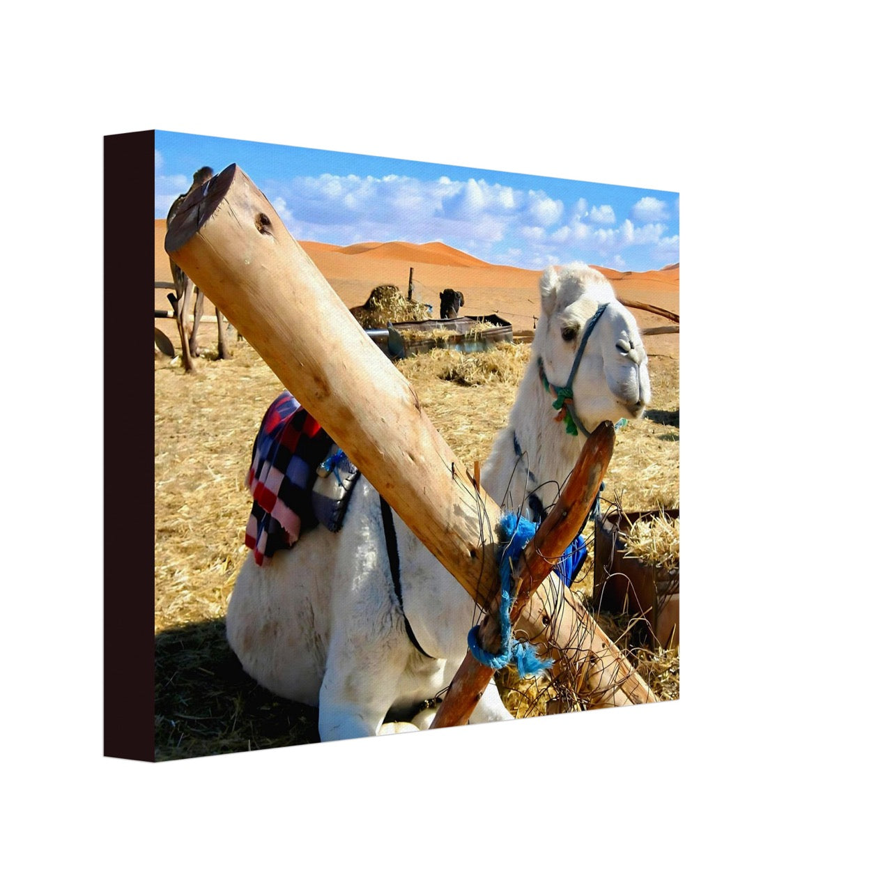 Awaiting the Journey | Whispers of a Sahara Past OG