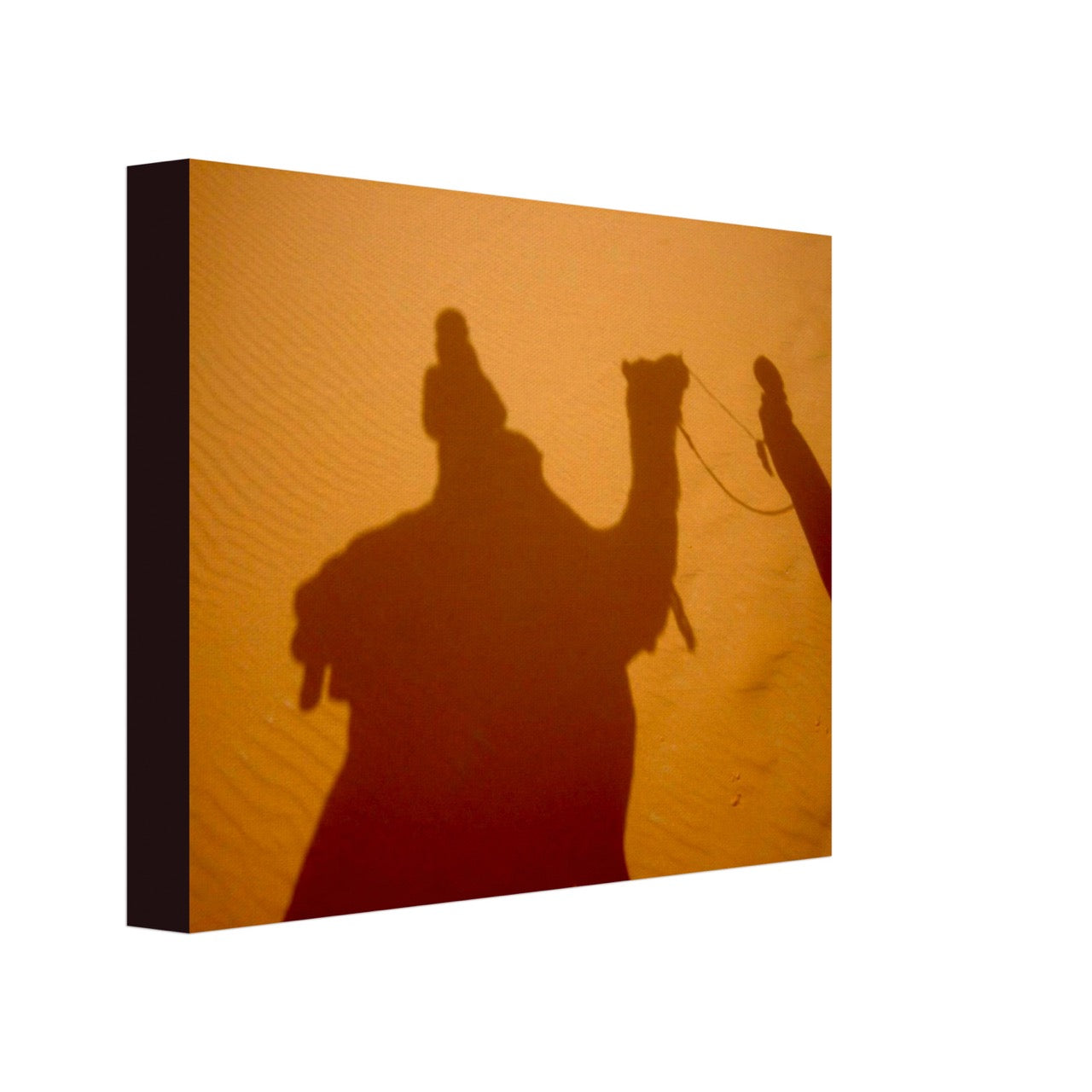 Steps, Shadows, Sand, Songs and Sun | Whispers of a Sahara Past OG