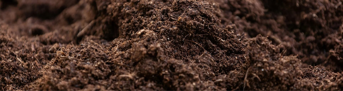 Earth element banner: dark rich soil with organic texture