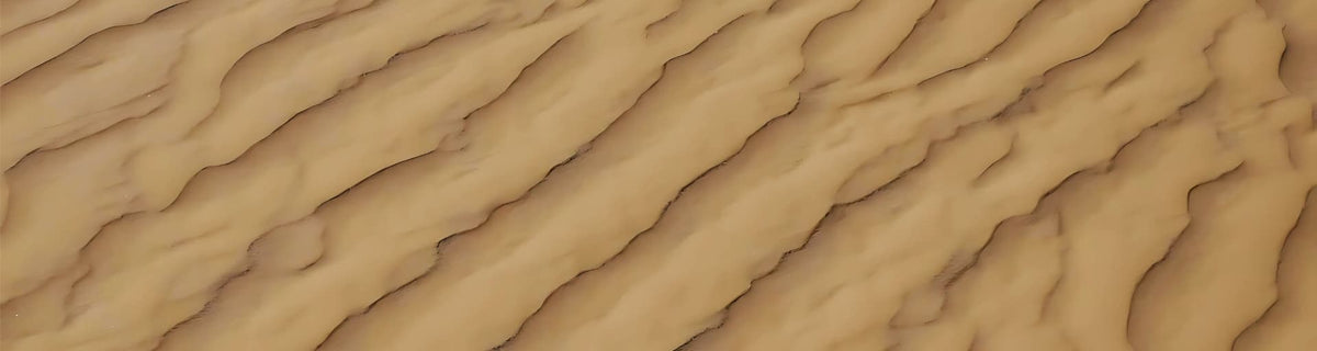 Earth & Wind Elements: Wind-carved ripples in desert sand.